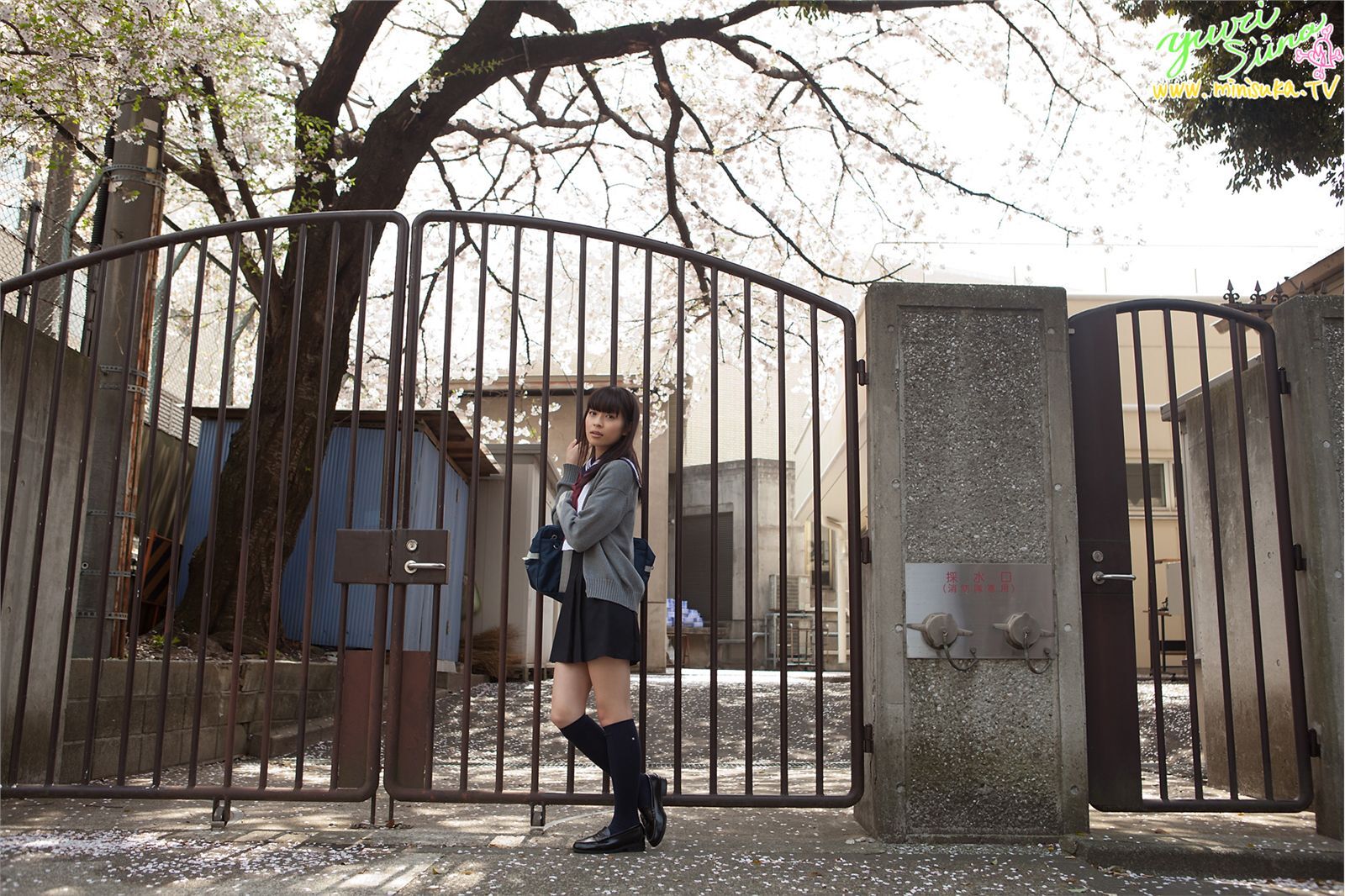 现役女子高生 Yuuri Shiina [Minisuka.tv] 2011.07